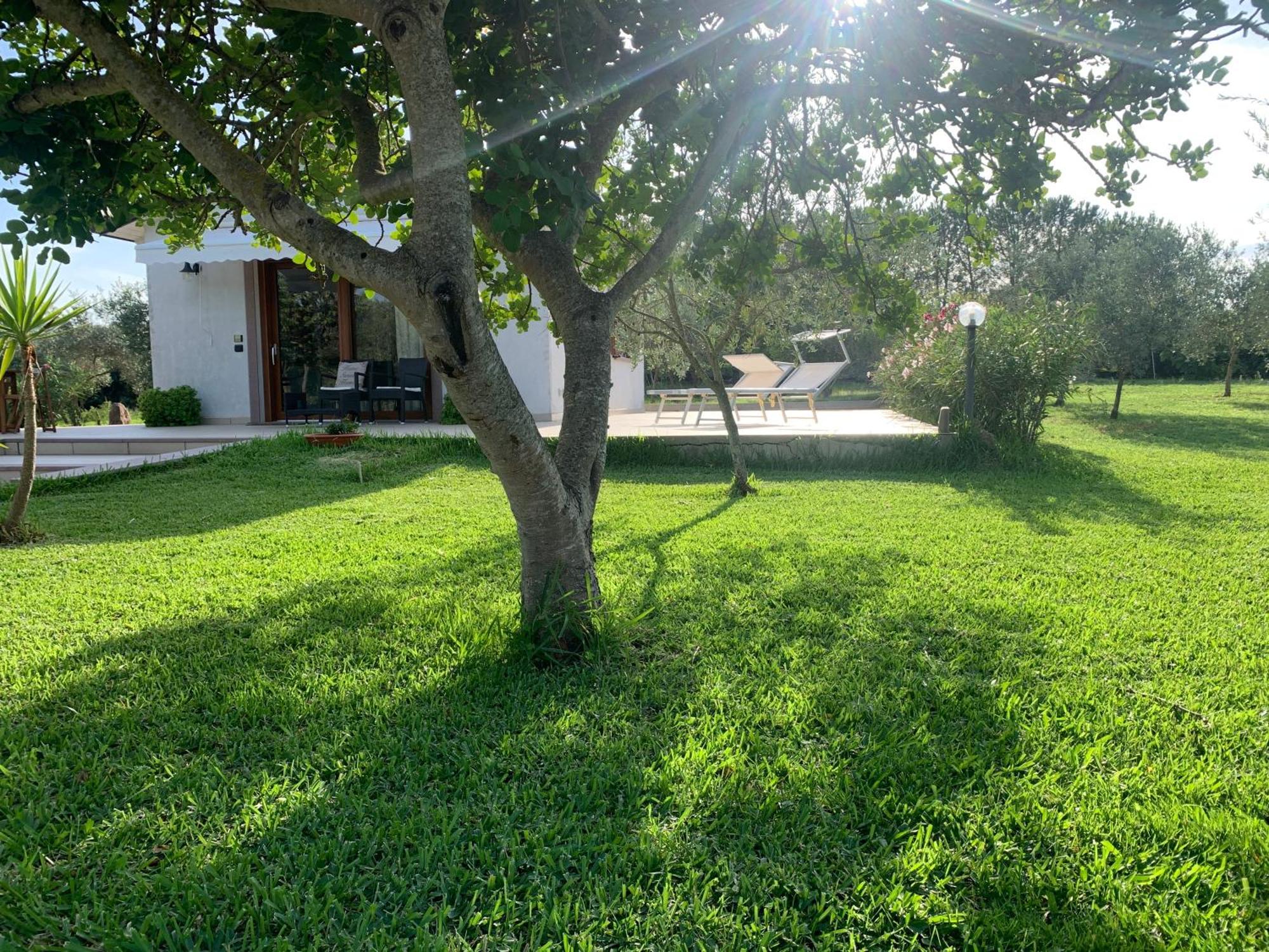 La Casetta Holiday Home Alghero Esterno foto
